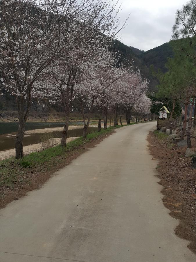 Pyeongchang River House 외부 사진