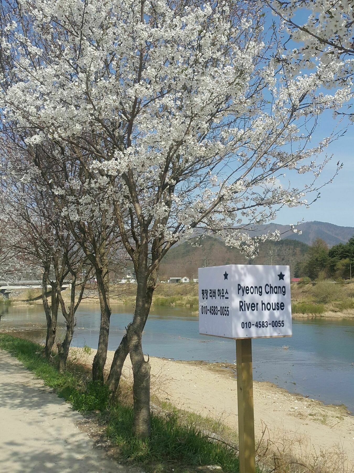 Pyeongchang River House 외부 사진